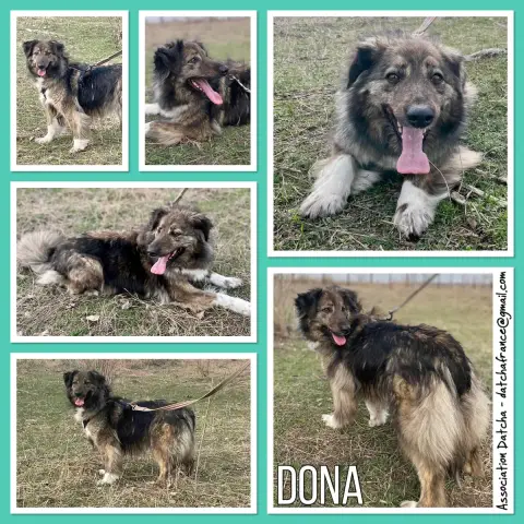 Dona