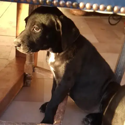 Néra photo 2