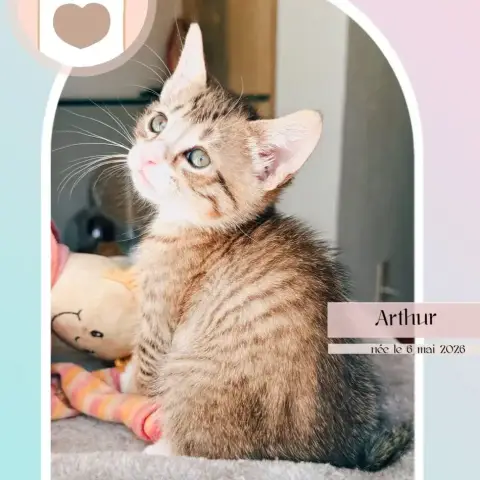 Arthur
