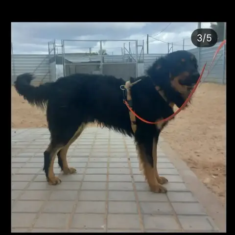 Xavi photo 2