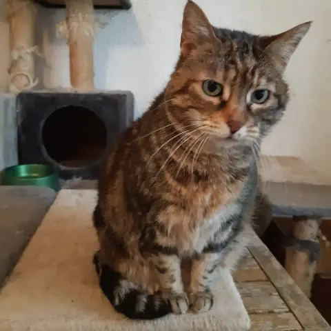 Hera