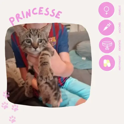 Princesse