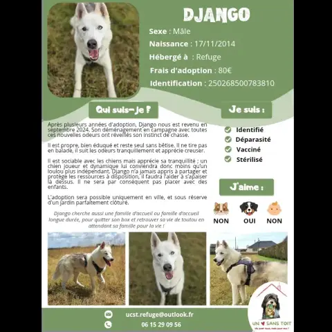 Django photo 2