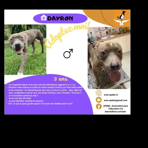 Dayron photo 3