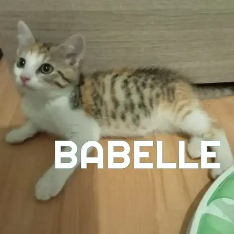 Babelle photo 2