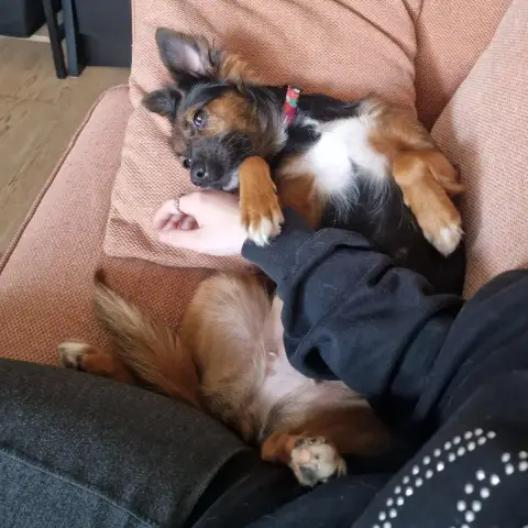 Keysa