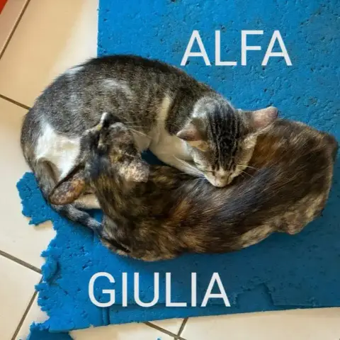 Giulia photo 2