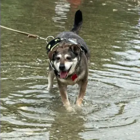 Nora photo 3