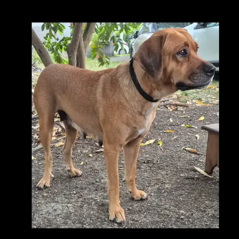 Poupix photo 3