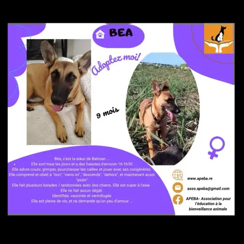 Béa