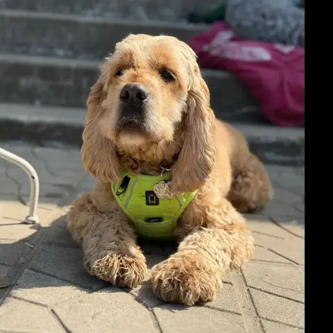 Charly photo 2