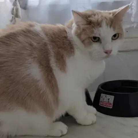 Oliver