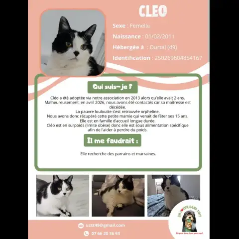 Cleo