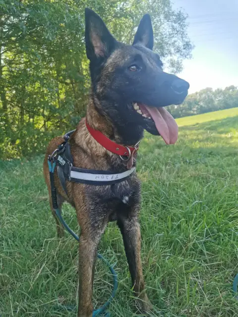 Tayson photo 3