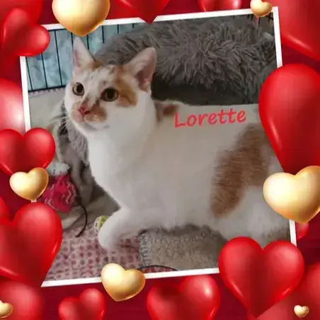 Lorette