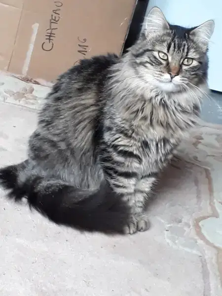 Myuki