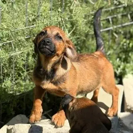 Sami photo 3
