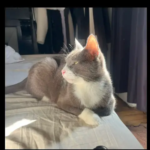 Milie