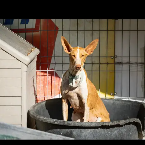 Maggie photo 3