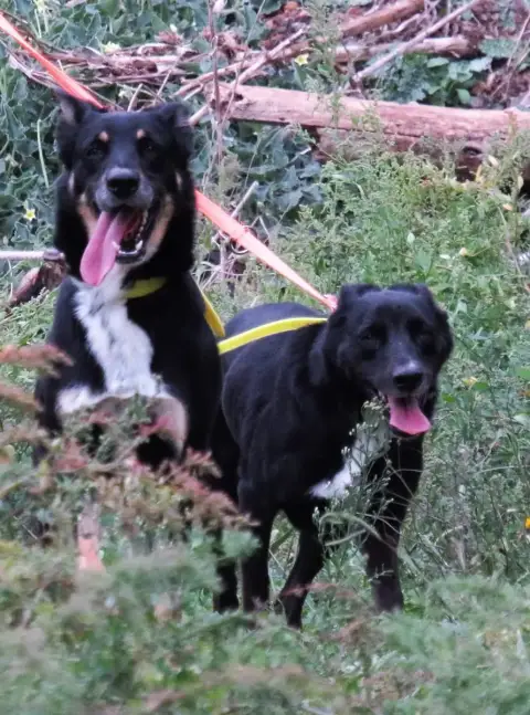 Malia