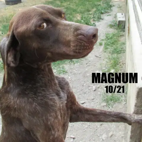 Magnum photo 2