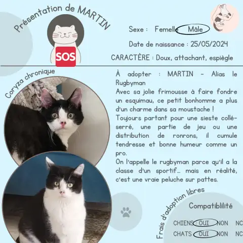 Martin
