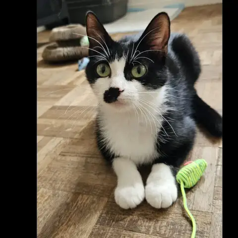 Charlie