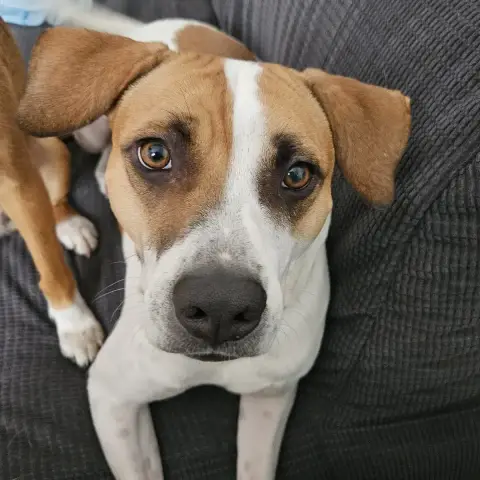 Elliot photo 2