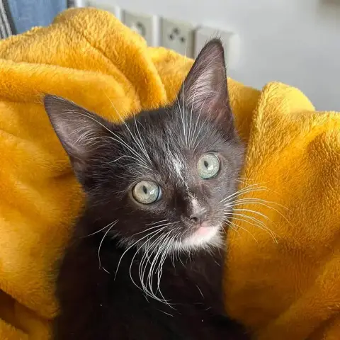 Bulle photo 3