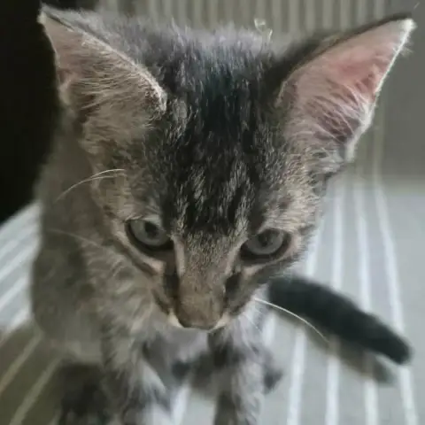 Betty