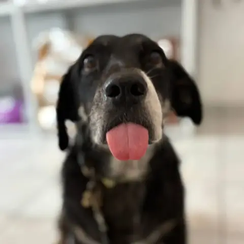 Roberto