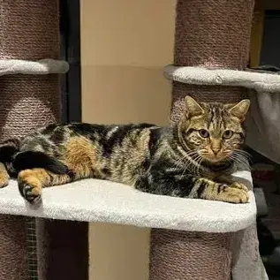 Milo photo 2
