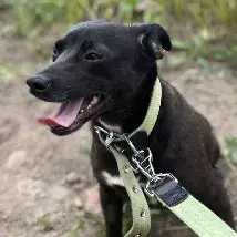 Lola photo 2