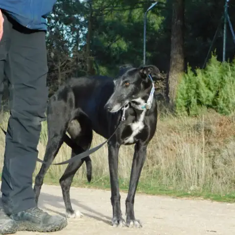 Vera photo 3