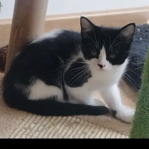 Moosh photo 2