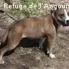 Pataya Dite Polly photo 2