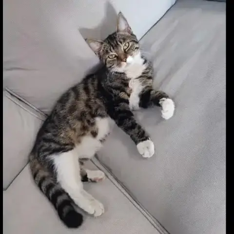 Milly