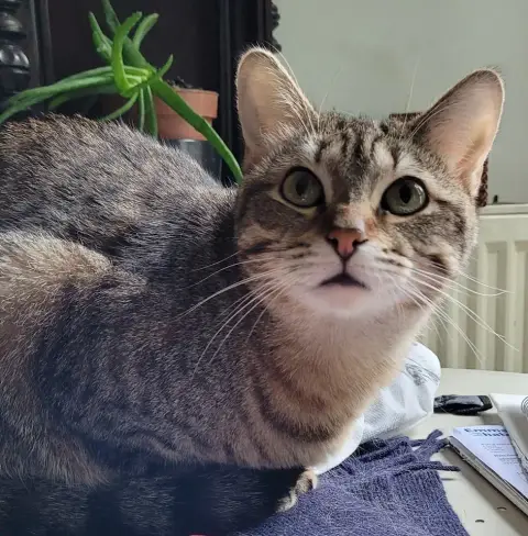 Cléo photo 3