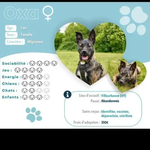 Oxa