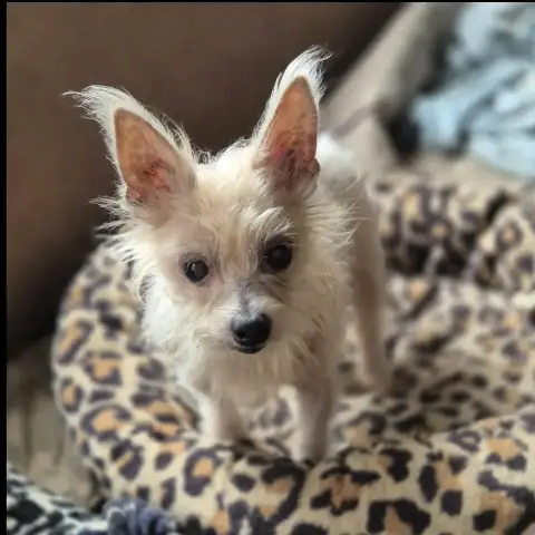 Bébelle photo 2