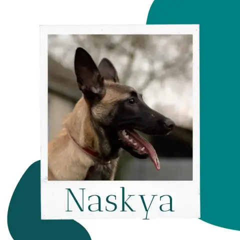 Naskya