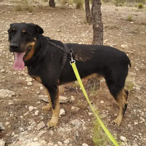Max photo 3