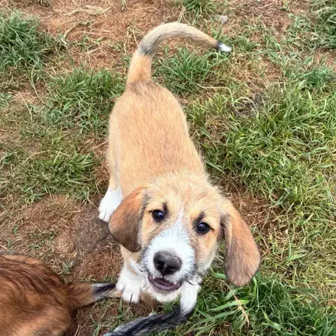 Lulu photo 2