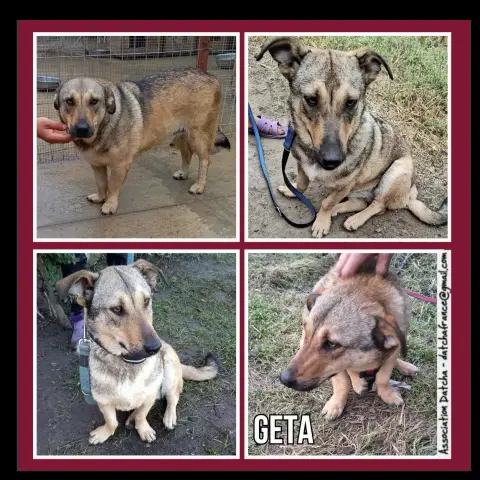 Geta