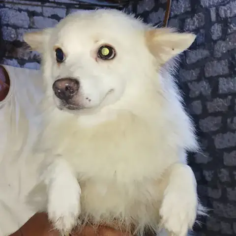 Buddy photo 2