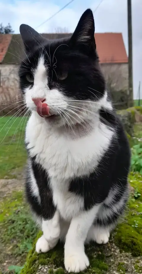 Sos Urgent Un Panier Pour Noe photo 3