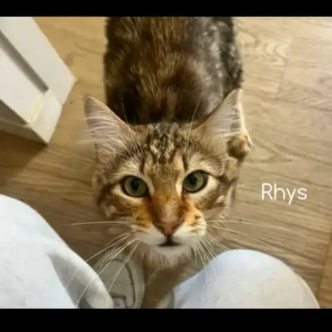 Rhys photo 3