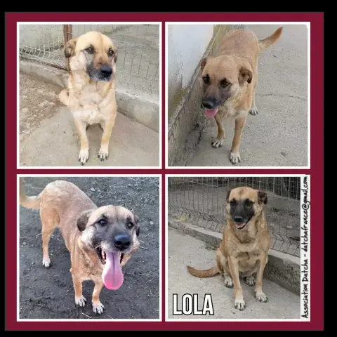 Lola