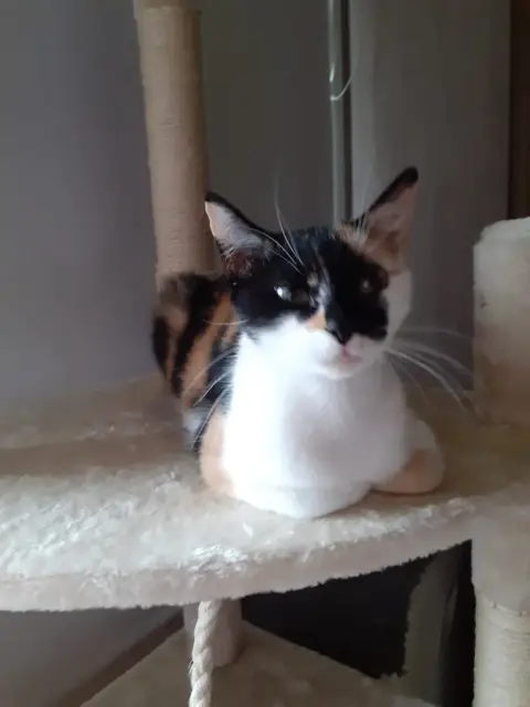 Tina photo 2