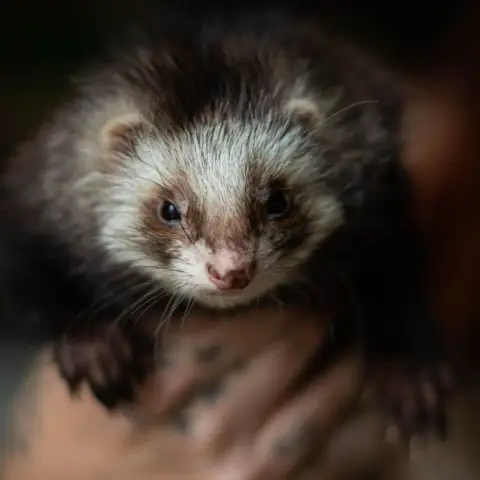 Freya photo 2